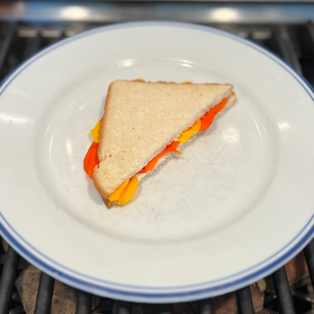 The 🥪 week in review is here!